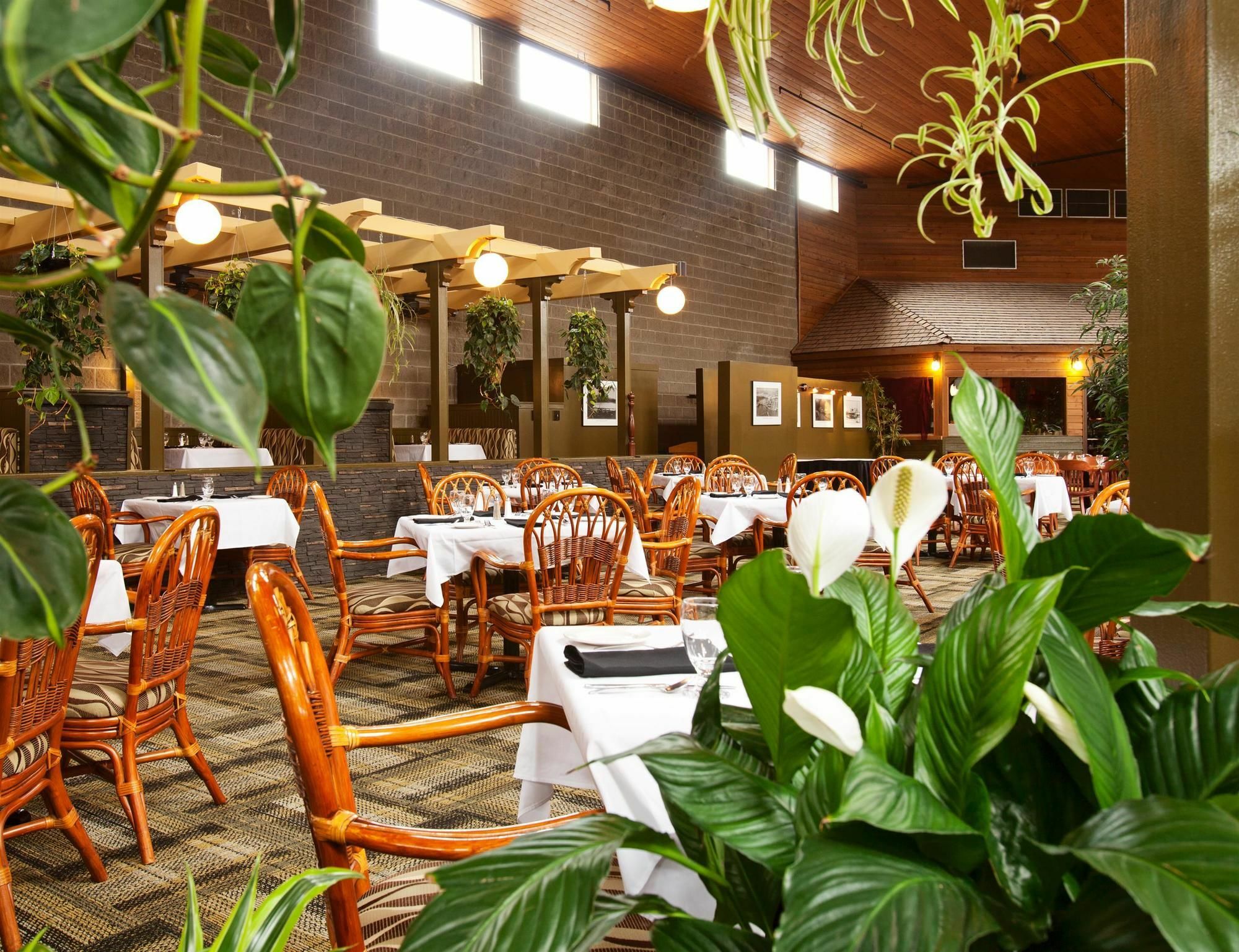 Surestay Hotel By Best Western Chilliwack Extérieur photo